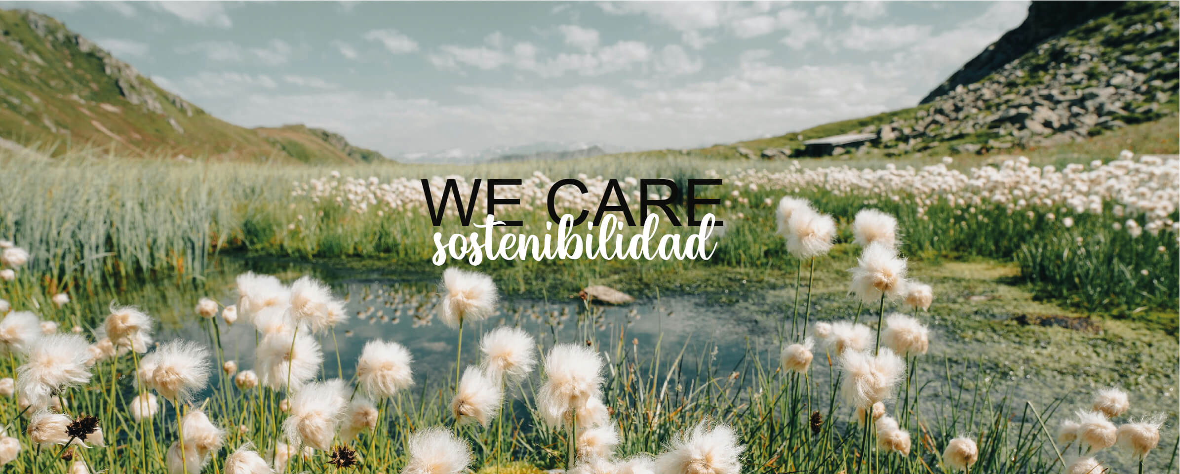 Wecare image